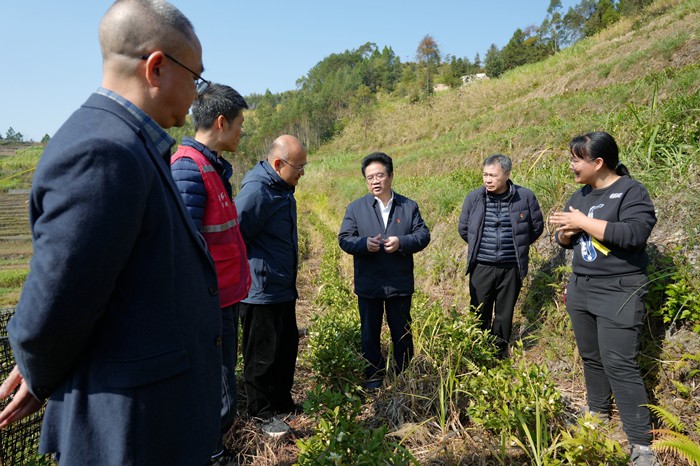 曾志羽董事长带队到公司定点帮扶村马山县里当瑶族乡龙琴村开展乡村振兴调研慰问 第 5 张 曾志羽董事长带队到公司定点帮扶村马山县里当瑶族乡龙琴村开展乡村振兴调研慰问 第 5 张