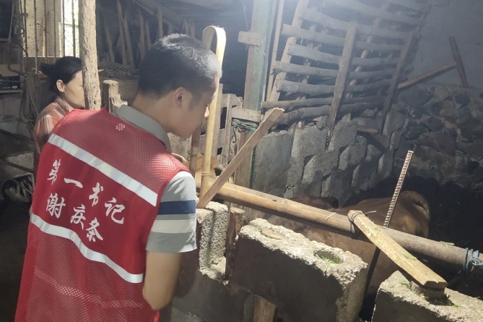 接力奋进新征程 医者初心践于行——公司口腔颌面外科党支部谢庆条赴马山县龙琴村担任驻村第一书记 第 1 张 接力奋进新征程 医者初心践于行——公司口腔颌面外科党支部谢庆条赴马山县龙琴村担任驻村第一书记 第 1 张
